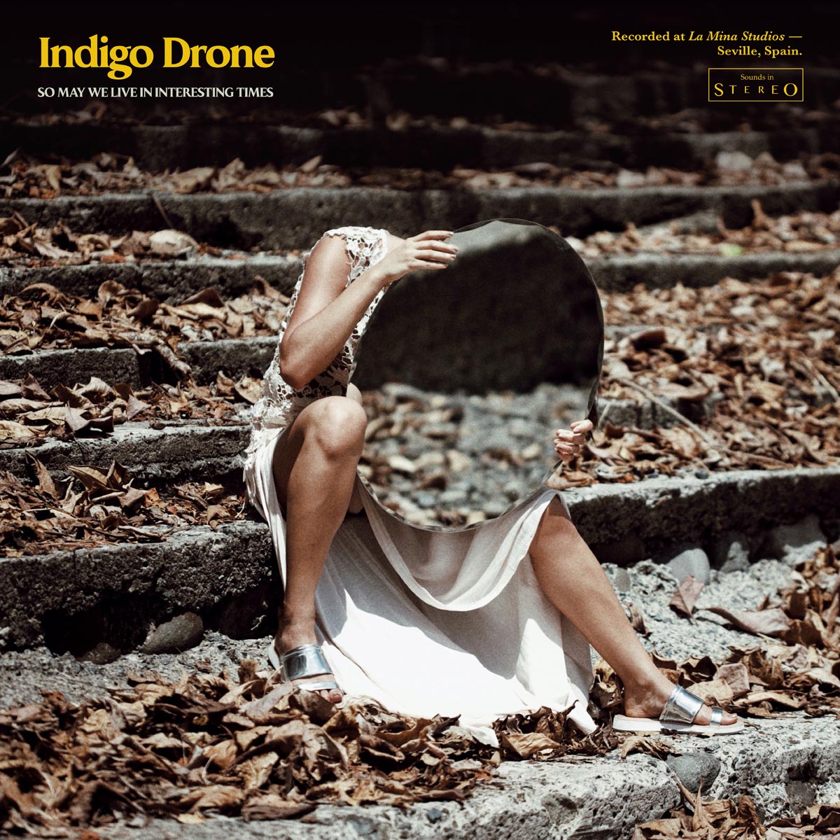 Indigo-Drone-so-may-we-live-in-interesting-times-portada